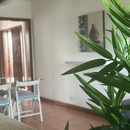Apartment Pedra *