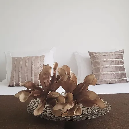 Azores Pedra - T0 E T1 דירה