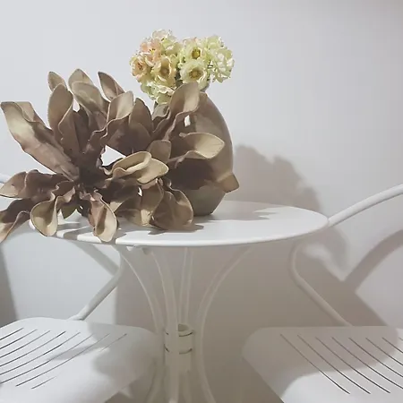 Azores Pedra - T0 E T1