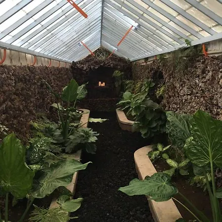 Azores Pedra - T0 E T1 * Ponta Delgada