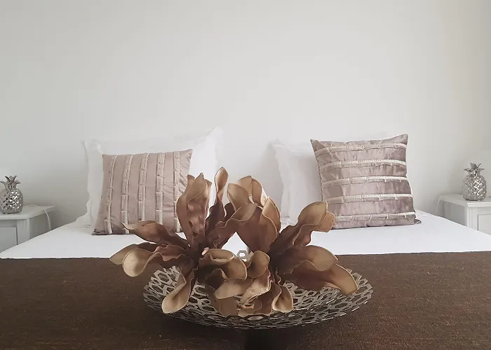 Azores Pedra - T0 E T1 Appartement