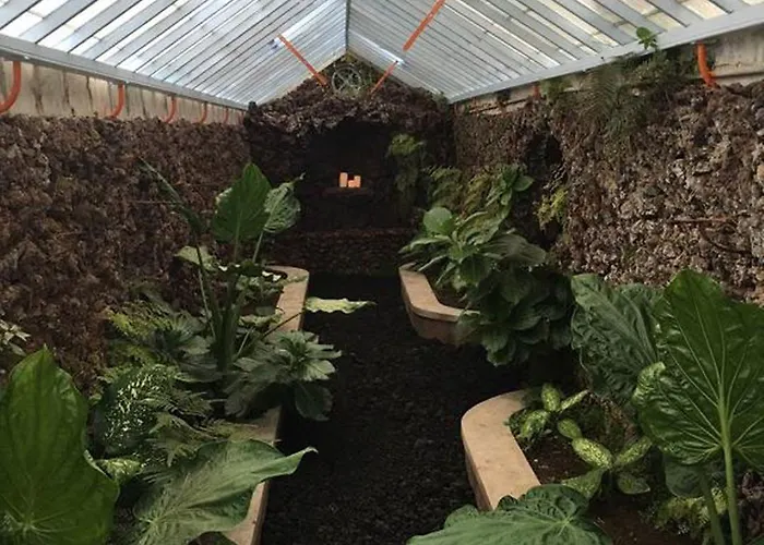 Azores Pedra - T0 E T1 * Ponta Delgada